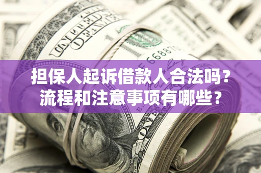 武汉担保人起诉借款人合法吗？流程和注意事项有哪些？