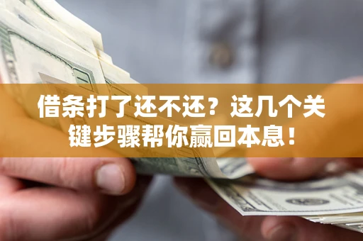 武汉借条打了还不还？这几个关键步骤帮你赢回本息！