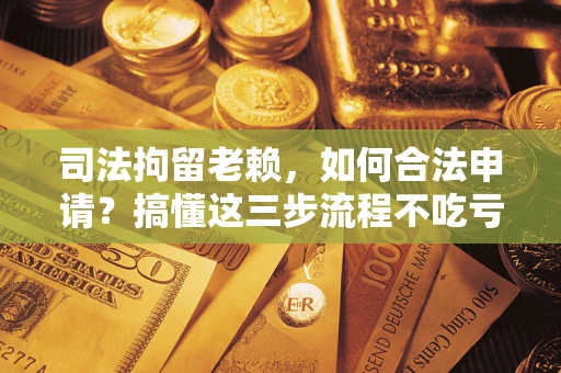 武汉司法拘留老赖，如何合法申请？搞懂这三步流程不吃亏！