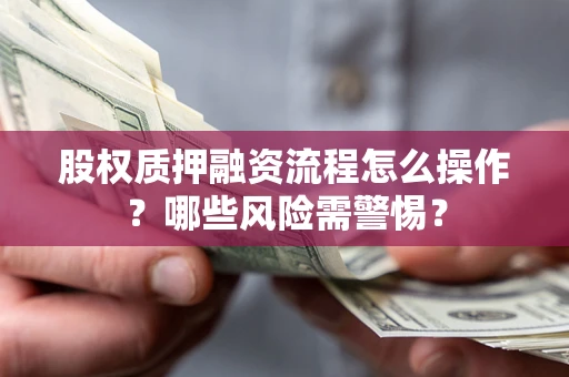武汉股权质押融资流程怎么操作？哪些风险需警惕？