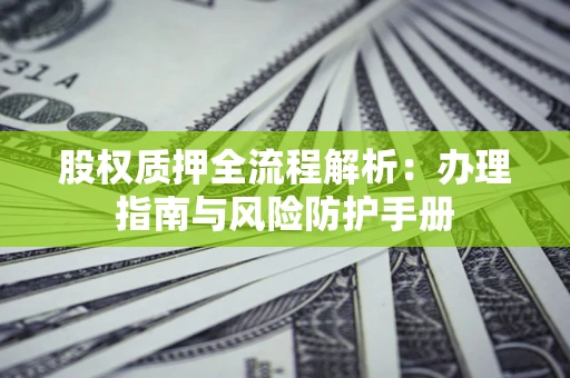 武汉股权质押全流程解析：办理指南与风险防护手册