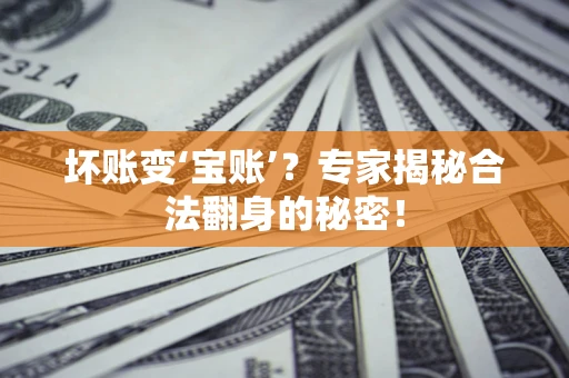 武汉坏账变‘宝账’？专家揭秘合法翻身的秘密！