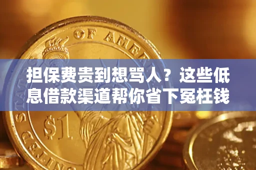 武汉担保费贵到想骂人？这些低息借款渠道帮你省下冤枉钱