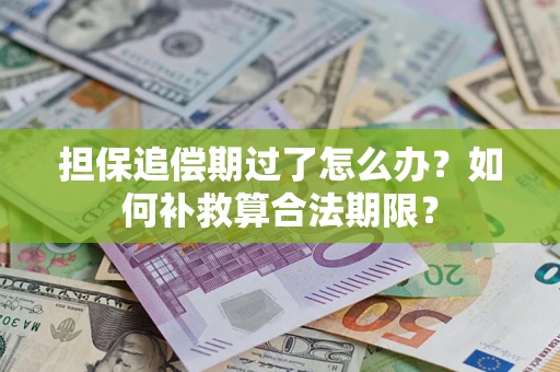 武汉担保追偿期过了怎么办？如何补救算合法期限？