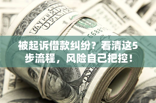 武汉被起诉借款纠纷？看清这5步流程，风险自己把控！