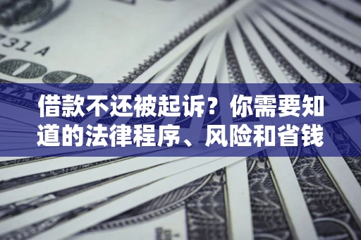 武汉借款不还被起诉？你需要知道的法律程序、风险和省钱技巧