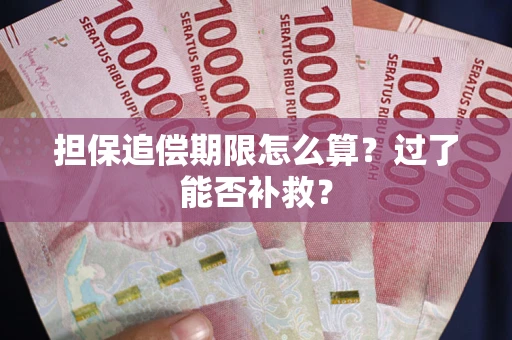 武汉担保追偿期限怎么算？过了能否补救？